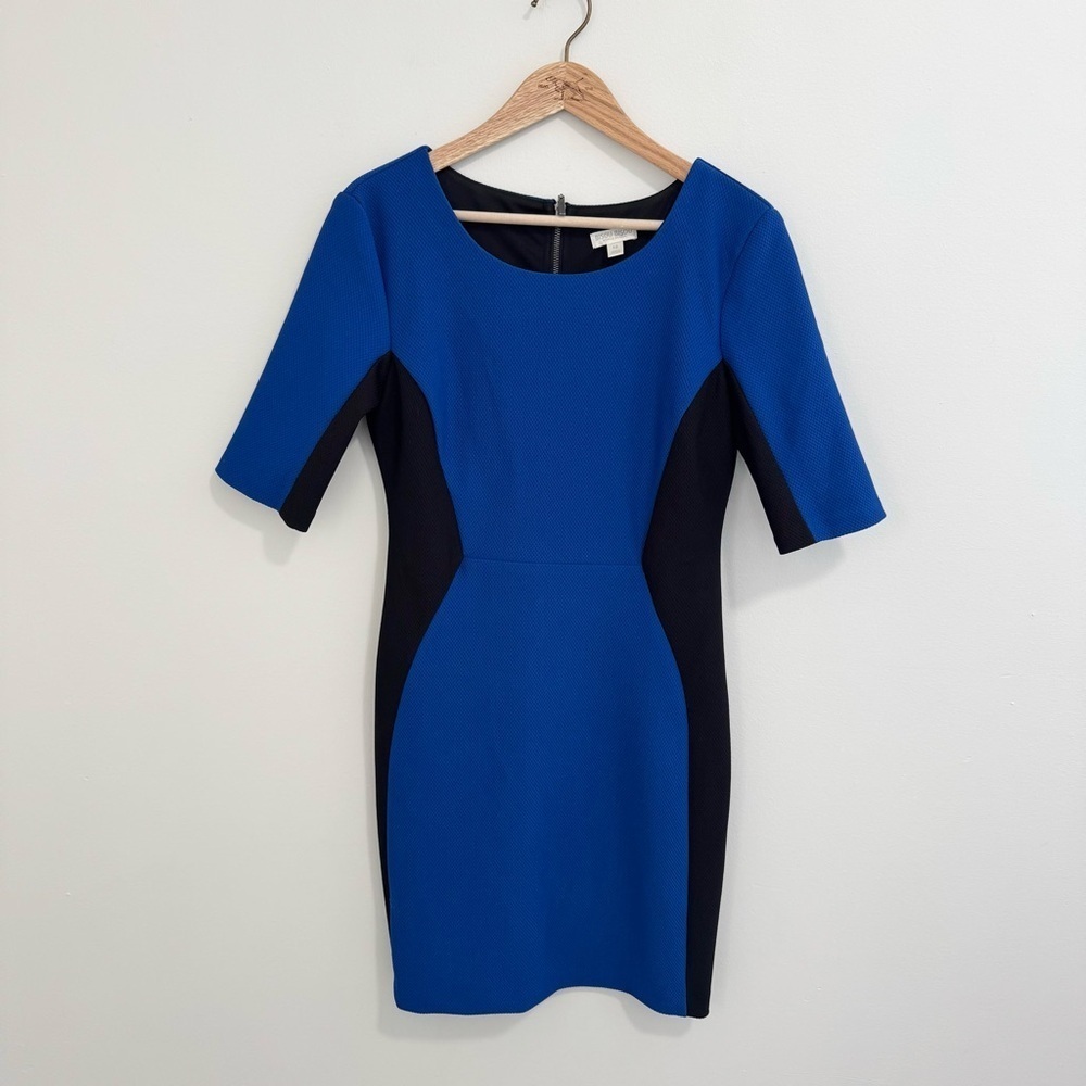 Bisou Bisou Colorblock Dress